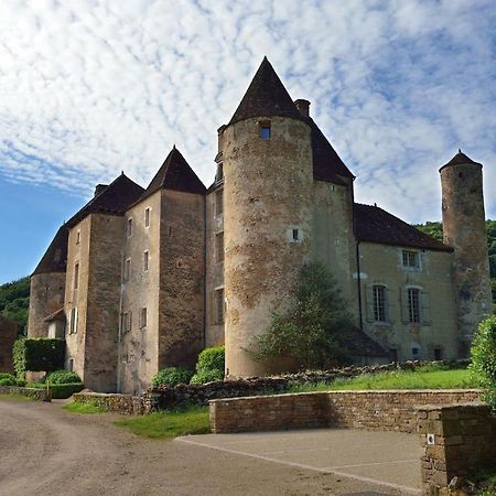 Chateau De Balleure Etrigny Exteriér fotografie