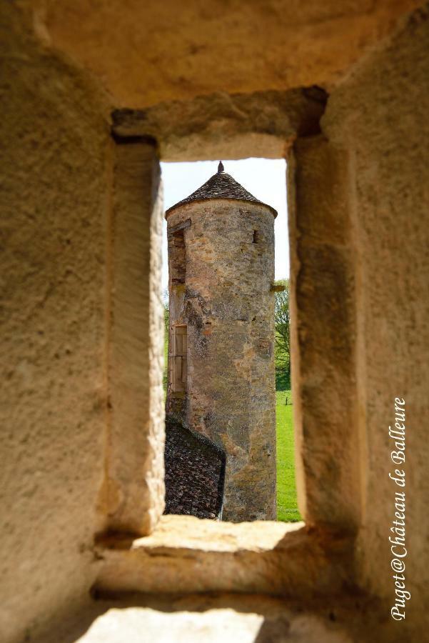 Chateau De Balleure Etrigny Exteriér fotografie